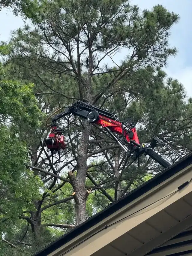 Crane with grapple removing a pine leaning over a residential roof