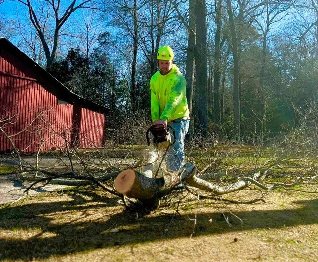 Crew member cutting felled tree with chainsaw on job site in Scotland Neck