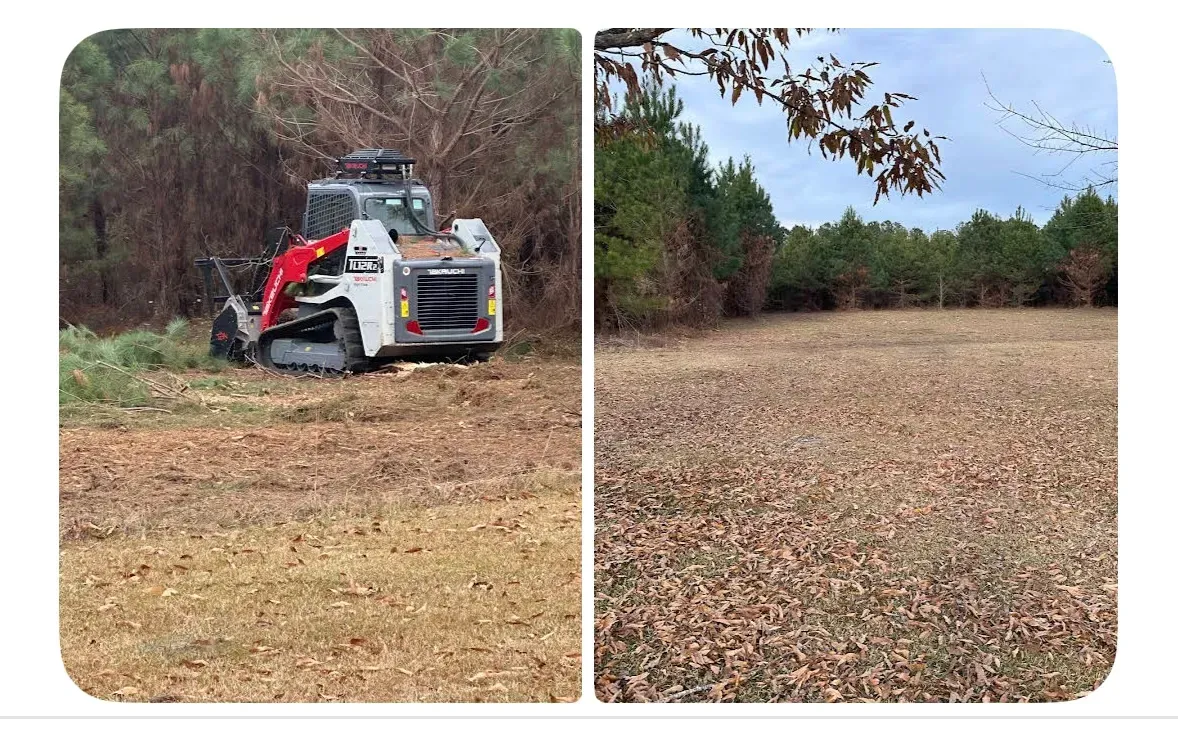 Before and after forestry mulching comparison