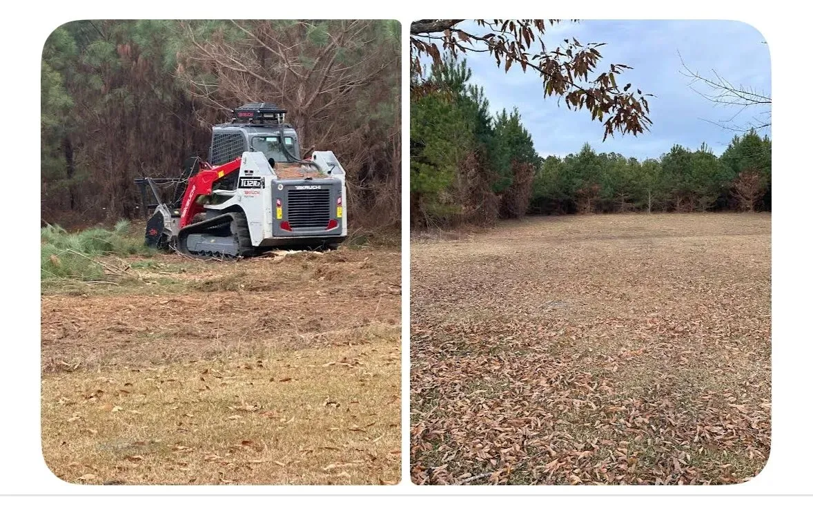 Before and after forestry mulching comparison