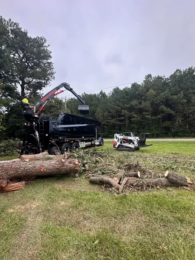 Grapple truck and Bobcat at rural clearing site