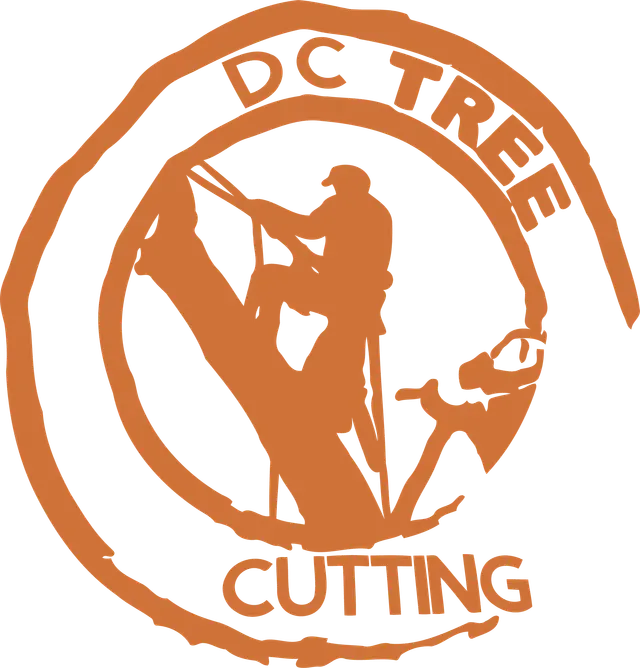 DC Tree Cutting and Land Service