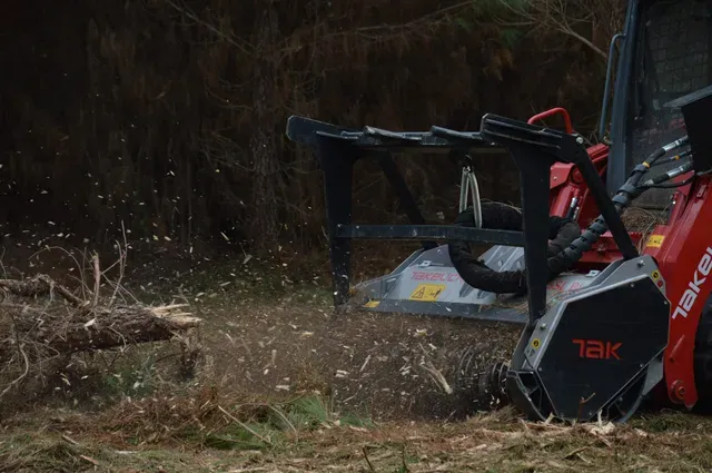 Forestry mulching job clearing overgrown vegetation