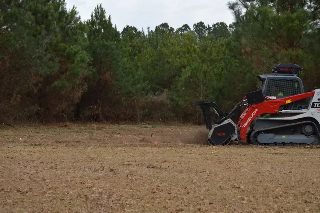 Forestry mulcher at treeline with cleared ground behind