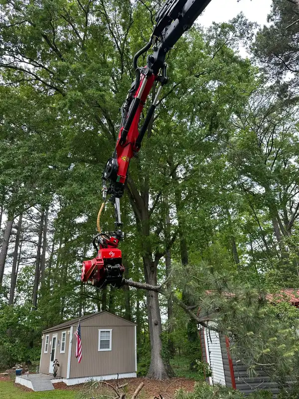 Crane grappling a residential pine section during a tight removal