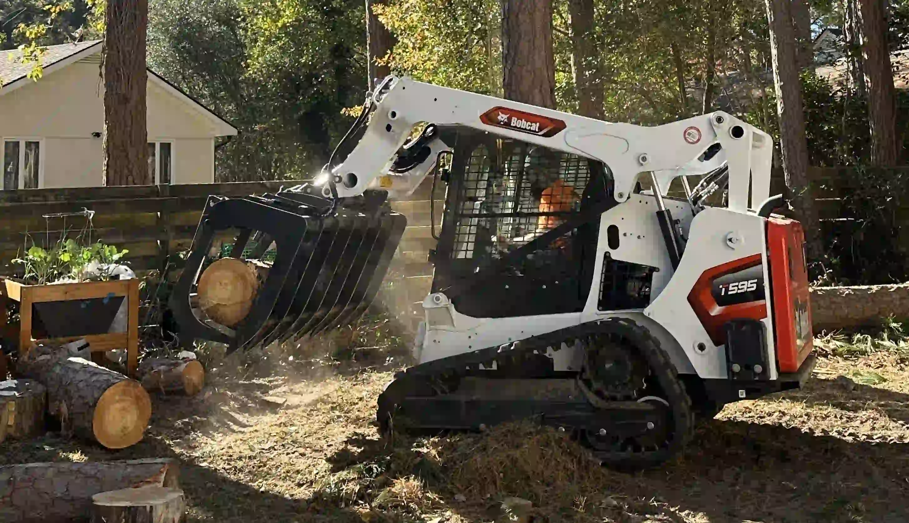 DC Tree Cutting and Land Service - Hero Image